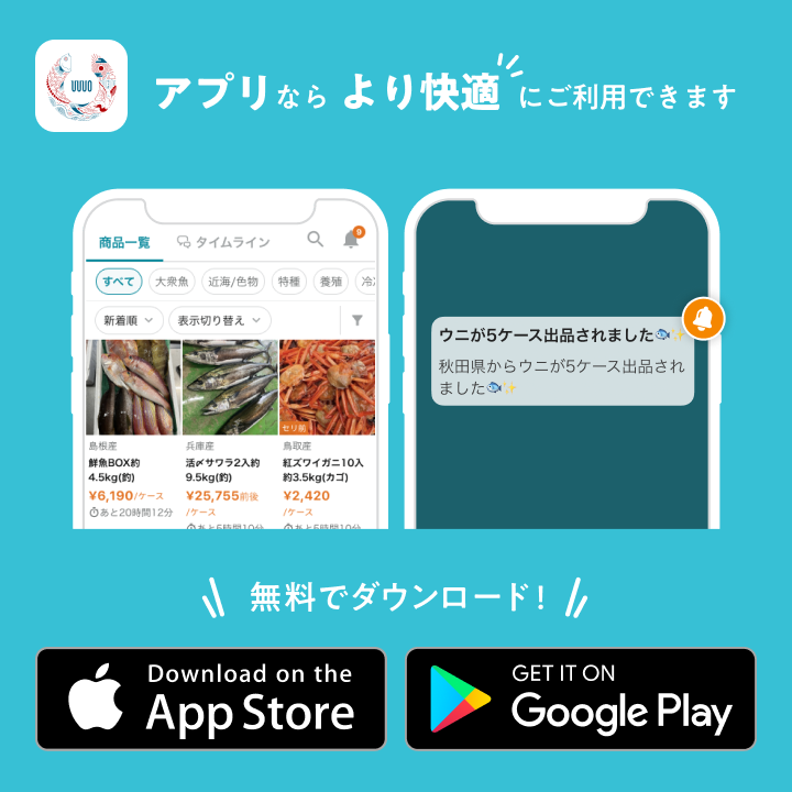 app install bannner