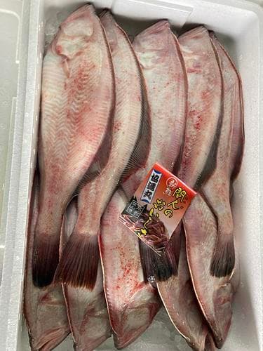 赤ガレイ(底曳)