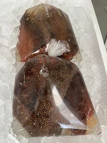 赤ナマコ14入約4kg
