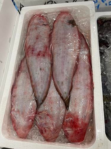 アカシタビラメ(底曳)