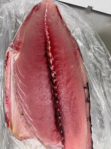 ビンチョウマグロ