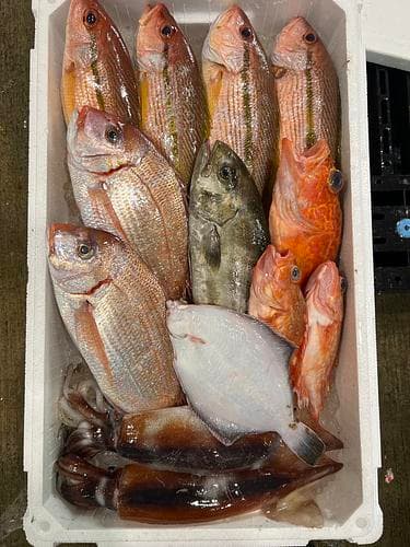 鮮魚BOX約4.5kg(定置)