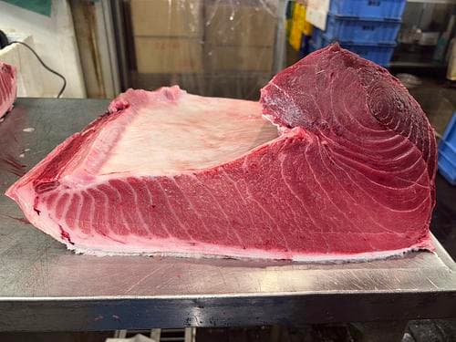 本マグロ(巻網)