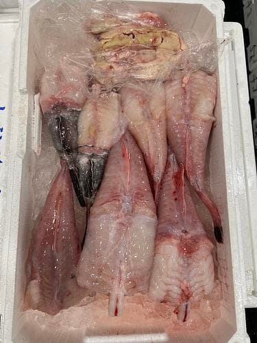 アンコウ（ムキ身）約5kg(底曳)