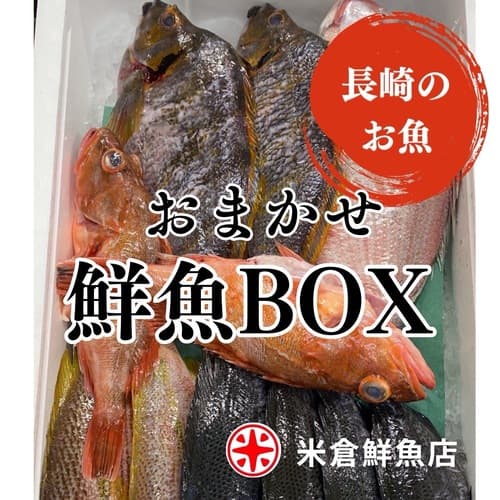 鮮魚BOX(沿岸)