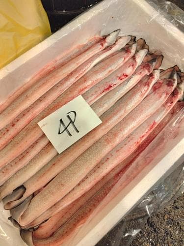 ウナギ開き(養殖)開き8入約2kg